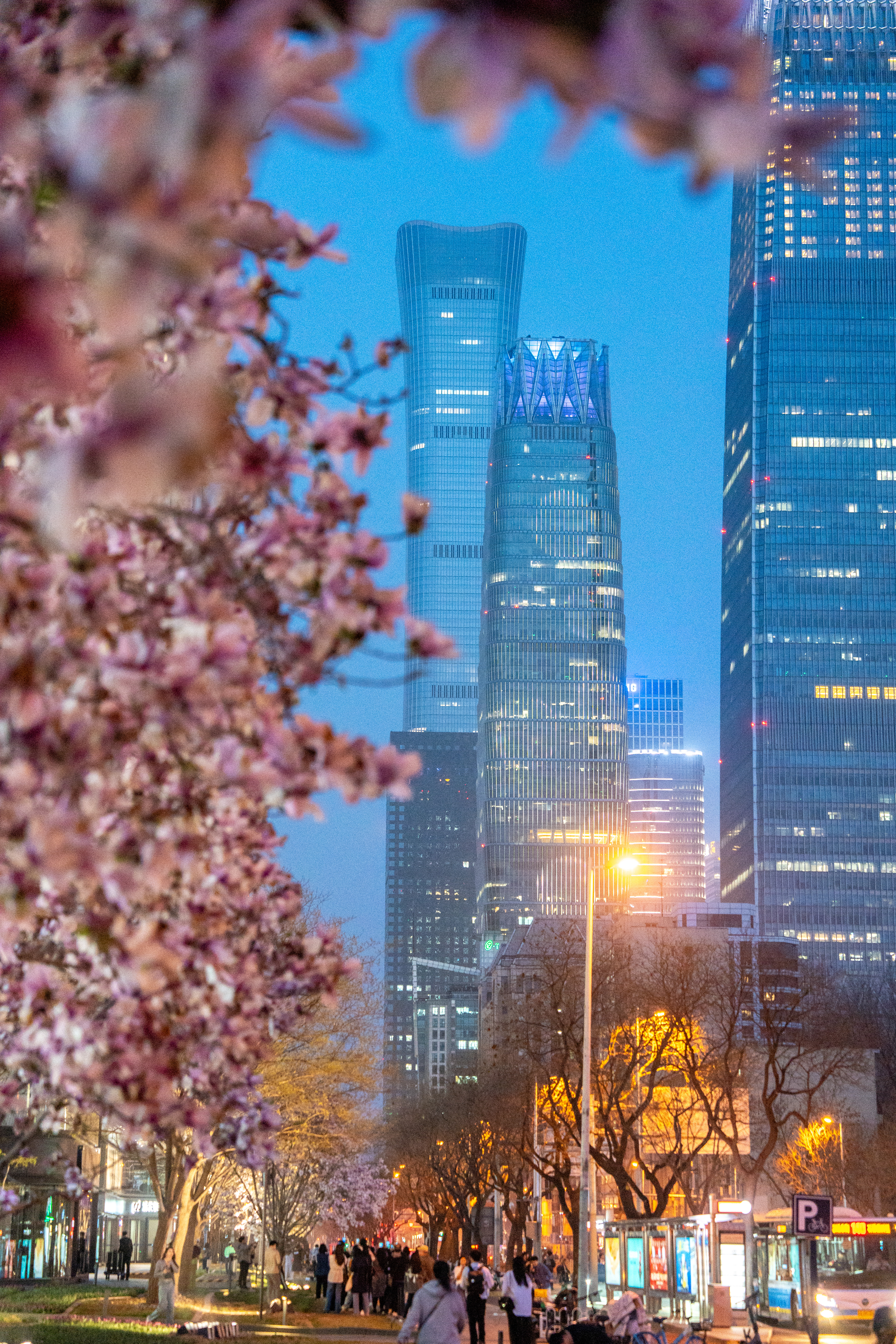 Chaoyang, Beijing: Where Urban Vibrancy Meets Floral Splendor
