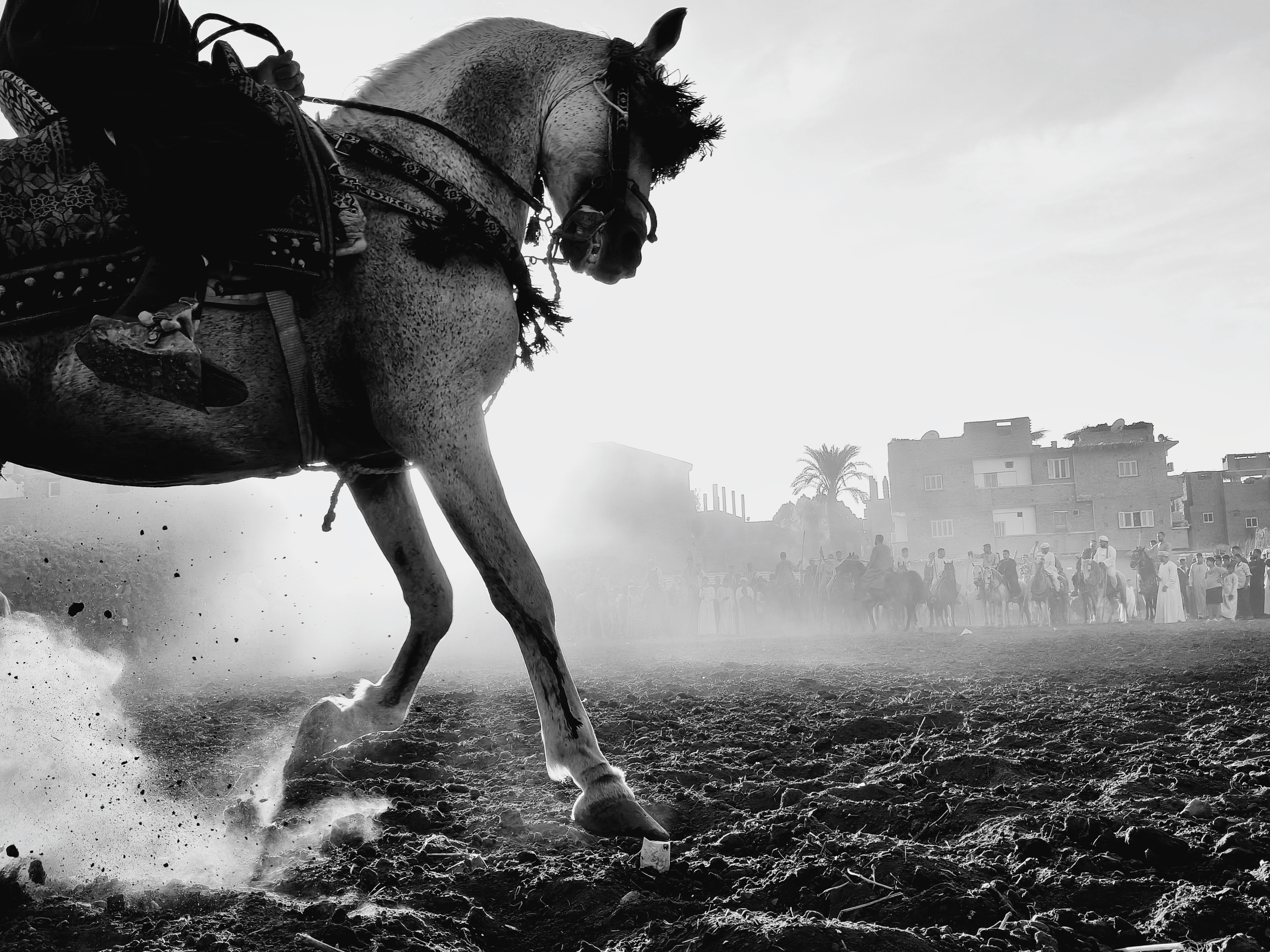 Bronze Award, “Timeless Framing” by Abdullah Salah (Egypt), OPPO Reno14 5G